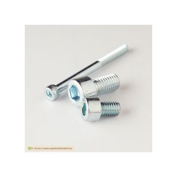 Horganyzott, belső kulcsnyílású csavar (8.8)